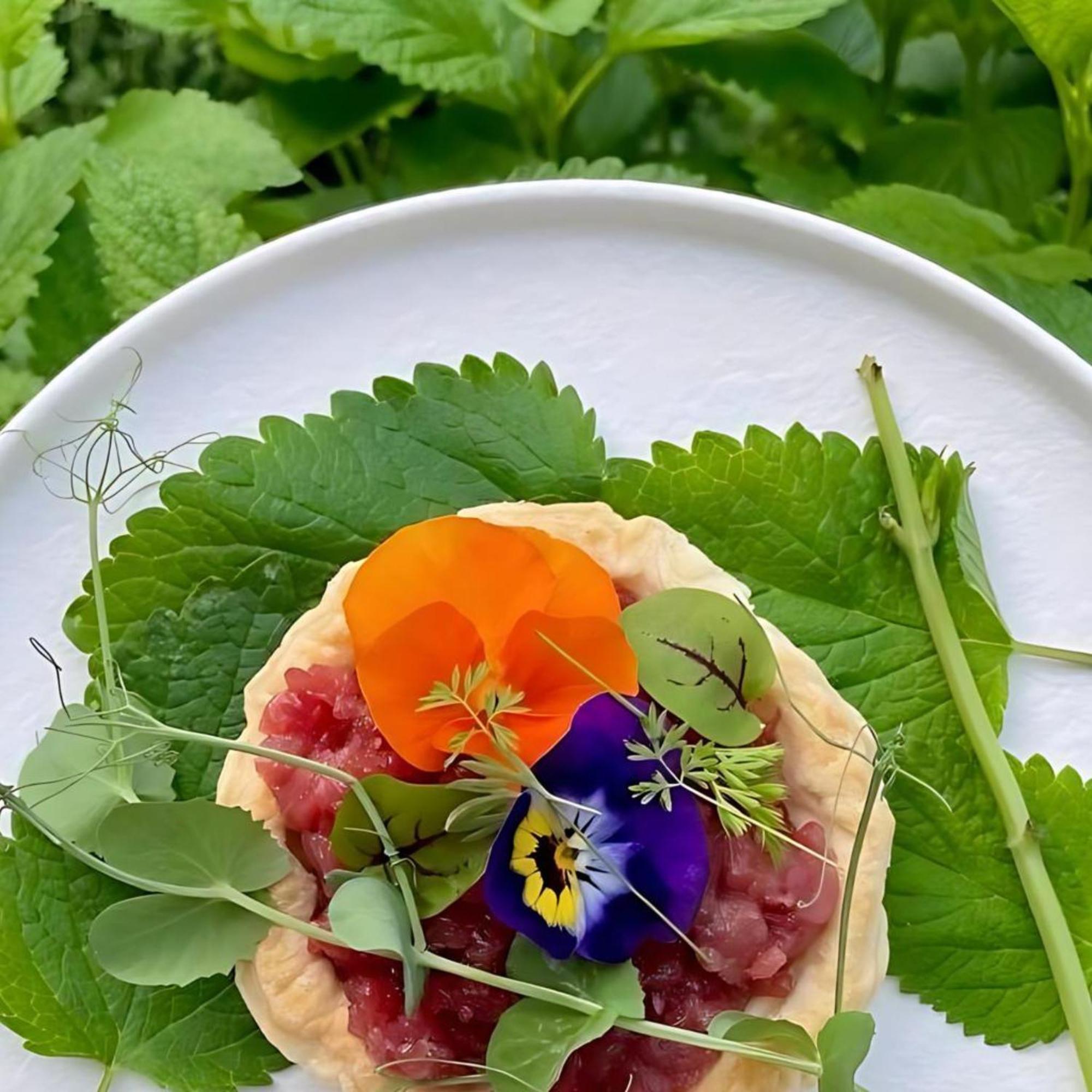 Cascina Facelli - Luxury Country House Bossolasco 外观 照片